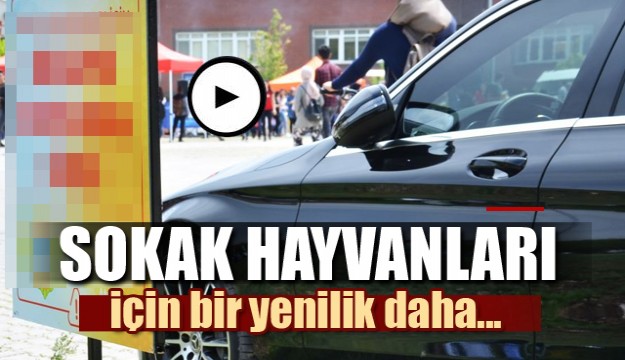 SDÜ'DEN SOKAK HAYVANLARI İÇİN BİR YENİLİK DAHA