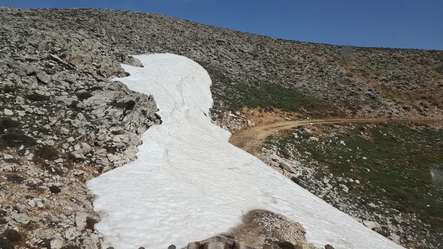 Senirkent'te yayla yolları kullanıma açıldı