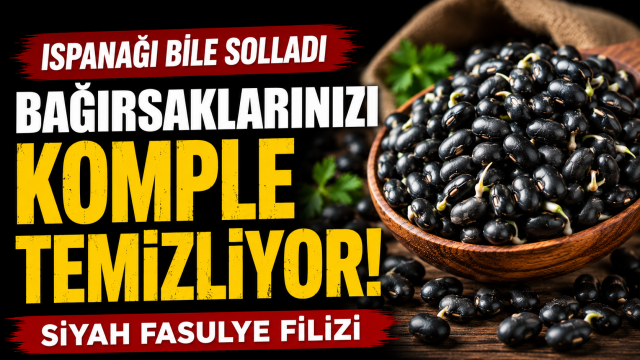 Siyah Fasulye Filizi Sindirim Dostu Olarak &Ouml;ne &Ccedil;ıkıyor