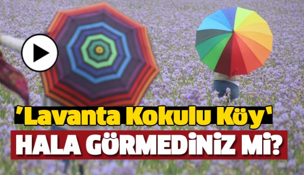 SİZ HALA LAVANTA KOKULU KÖYÜ GÖRMEDİNİZ Mİ?