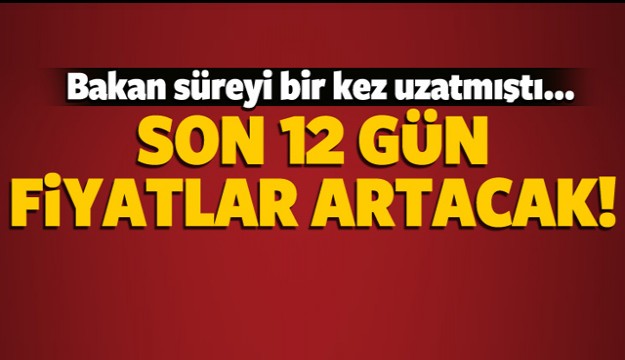 SON 12 GÜN FİYATLAR ARTACAK!