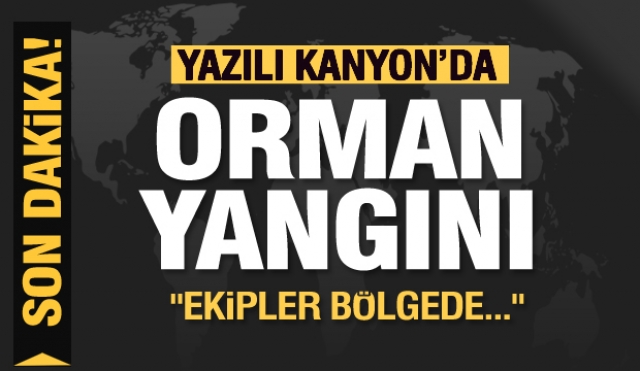 Son dakika! Isparta'da Orman Yangını...