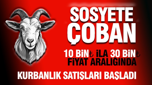 Sosyete Çoban: Isparta’da Kurbanlık Satışları Başladı! 