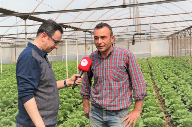 Sütçüler'de Seracılık Faaliyetleri Yaygınlaşıyor