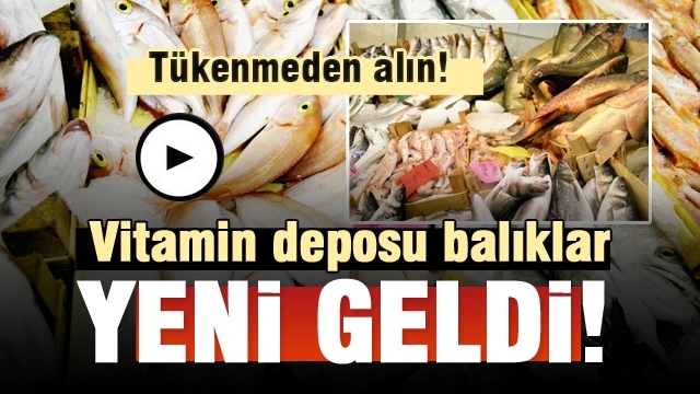 Taze balıklar Gözde Balık Tezgahlarında! Tükenmeden Alın!