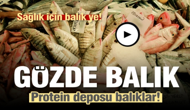 Taze ve protein deposu balık çeşitleri Gözde Balık Tezgahlarında