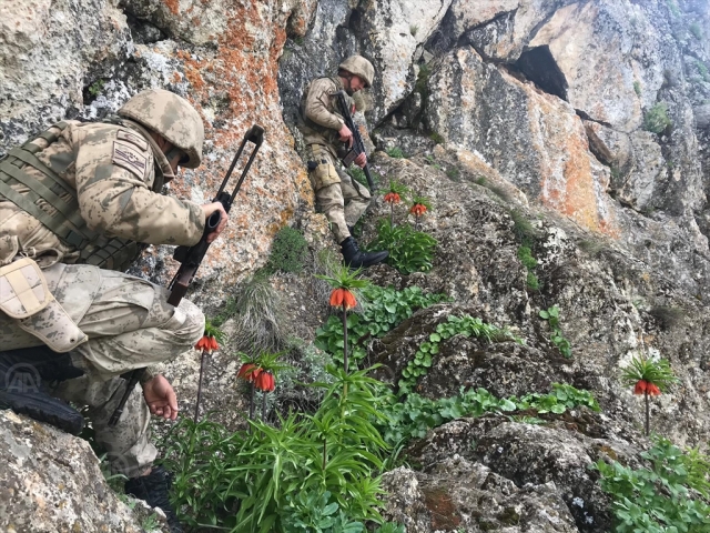 Ters laleye jandarma koruması
