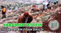Yaban Hayatı i&ccedil;in 240 bin fidan dikildi.