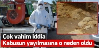 Kuş gribinde korkun&ccedil; iddia!