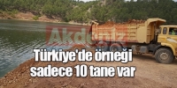 T&uuml;rkiye'de &ouml;rneği sadece 10 tane var