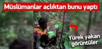 Arakanlı Müslümanlar açlıktan ağaç yaprağı yiyor