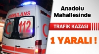 ANADOLU MAHALLESİ'NDE KAZA: 1 YARALI