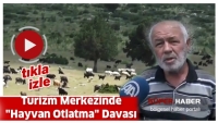 Turizm Merkezinde ''Hayvan Otlatma'' Davası