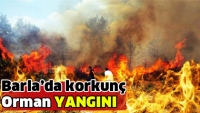 Isparta Barla Orman Yangını