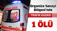 Organize Sanayi B&ouml;lgesi'nde Trafik Kazası: 1 &Ouml;l&uuml;, 1 Yaralı