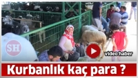 Isparta'da Kurbanlık Ka&ccedil;a ?