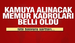 2019 yılında hangi kadrolara kaç memur alınacak?