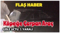 K&Ouml;PEĞE &Ccedil;ARPAN ARA&Ccedil; G&Ouml;LE U&Ccedil;TU. 1 YARALI