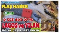Isparta'ya Lagos ve Yılan Balık Çeşitleri geldi