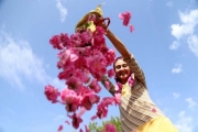 Isparta G&uuml;l&uuml; Turizme Kazandırılacak