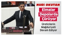 OKUTAN: ELMALAR DEPOLARDA &Ccedil;&Uuml;R&Uuml;YOR, &Uuml;RETİCİLERİN MAĞDURİYETİ S&Uuml;R&Uuml;YOR