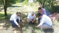 Isparta'da  &Uuml;reticiye Mor İnci Desteği