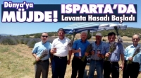 M&uuml;jde! Isparta'da Lavanta Hasadı Başladı