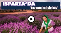 Isparta'da 'Lavanta kokulu k&ouml;y'