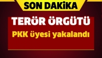 Isparta'da Ter&ouml;r &Ouml;rg&uuml;t&uuml; PKK &Uuml;yesi Yakalandı