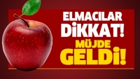 ELMACILAR DİKKAT! M&Uuml;JDE GELDİ