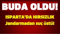 ISPARTA'DA HIRSIZLIK! JANDARMADAN SU&Ccedil; &Uuml;ST&Uuml;