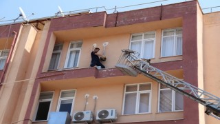 4.kattan d&uuml;şmek &uuml;zere olan kedi son anda yakalandı 