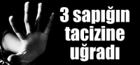3 SAPIĞIN TACİZİNE UĞRADI