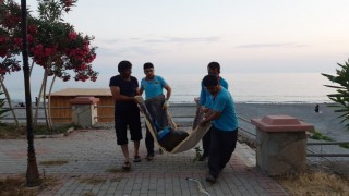 70 kilo ağırlığındaki caretta caretta Alanya sahiline vurdu 