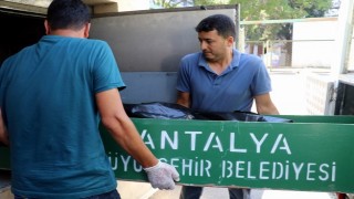 7 tabut, 9 cansız beden 