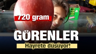 Isparta'da bir elma 720 gram geldi      