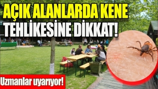 Açık Alanlarda Kene Tehlikesine Dikkat! Uzmanlar Uyarıyor