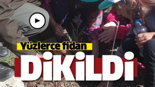 Aksu'da 500 fidan toprakla buluştu 