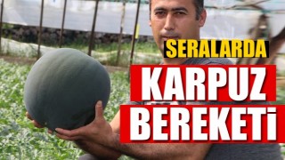 Antalya'da Seralarda karpuz bereketi