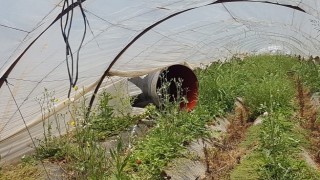 Antalya'da yoldan &ccedil;ıkan tırdaki borular &ccedil;ilek tarlasına d&uuml;şt&uuml;  