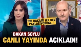 ​Bakan Soylu karantinadaki kişi sayısını açıkladı