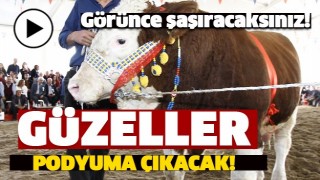 Burdur g&uuml;zelleri podyuma &ccedil;ıkacak