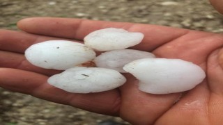 Ceviz b&uuml;y&uuml;kl&uuml;ğ&uuml;ndeki dolu, bah&ccedil;elere zarar verdi 
