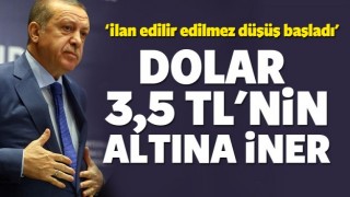 Cumhurbaşkanı Erdoğan: Dolar 3,5'in altına iner