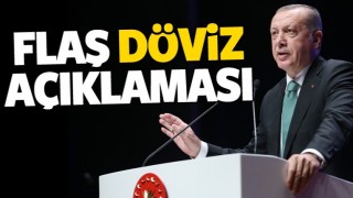 Cumhurbaşkanı Erdoğan'dan d&ouml;viz a&ccedil;ıklaması
