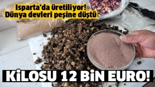 D&Uuml;NYA DEVLERİ ISPARTA G&Uuml;LYAĞI'NIN PEŞİNDE