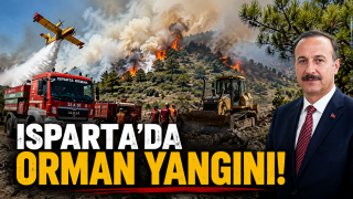 Eğirdir&rsquo;de Orman Yangını: Havadan ve Karadan Dev M&uuml;dahaleyle S&ouml;nd&uuml;r&uuml;ld&uuml;!