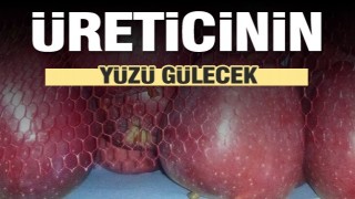 Eğirdir elması erken hasat ile bu yıl altın yılını yaşayacak