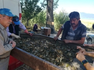 EĞİRDİR G&Ouml;L&Uuml; &Ouml;L&Uuml; KEREVİT BİLGİLENDİRMESİ