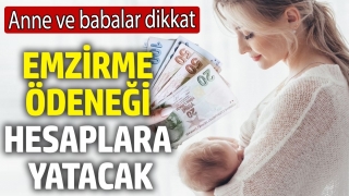 Emzirme &Ouml;deneği Hesaplara Yatıyor! Anne ve Babalar Dikkat